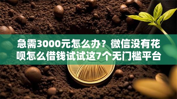 急需3000元怎么办？微信没有花呗怎么借钱试试这7个无门槛平台