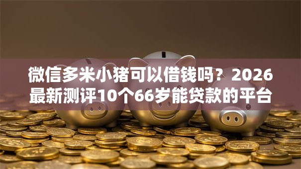 微信多米小猪可以借钱吗？2026最新测评10个66岁能贷款的平台