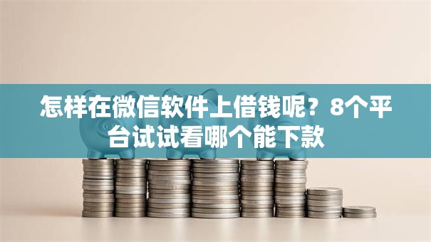 怎样在微信软件上借钱呢？8个平台试试看哪个能下款