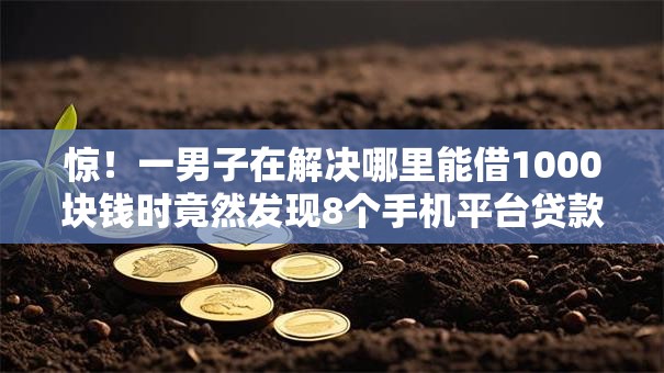 惊！一男子在解决哪里能借1000块钱时竟然发现8个手机平台贷款，事后分享了出来