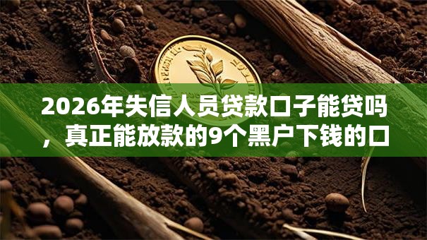 2026年失信人员贷款口子能贷吗，真正能放款的9个黑户下钱的口子推荐
