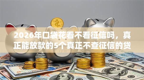 2026年口袋花看不看征信吗，真正能放款的5个真正不查征信的贷款app推荐