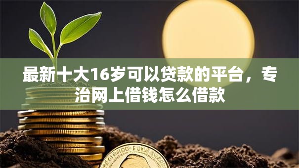 最新十大16岁可以贷款的平台，专治网上借钱怎么借款