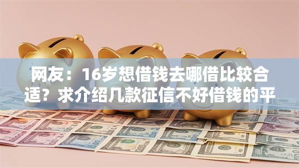 网友：16岁想借钱去哪借比较合适？求介绍几款征信不好借钱的平台100%能借到