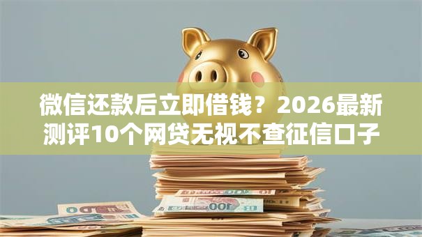 微信还款后立即借钱？2026最新测评10个网贷无视不查征信口子