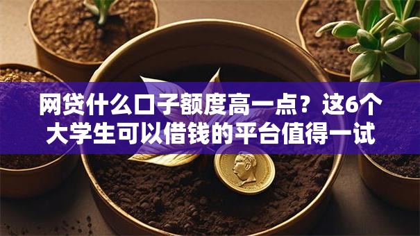 网贷什么口子额度高一点?这6个大学生可以借钱的平台值得一试 网贷什么口子额度高一点?这6个大学生可以借钱的平台值得一试