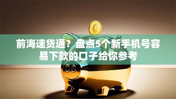 前海速贷通？盘点5个新手机号容易下款的口子给你参考