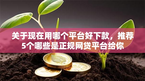 关于现在用哪个平台好下款，推荐5个哪些是正规网贷平台给你