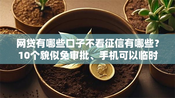 网贷有哪些口子不看征信有哪些？10个貌似免审批、手机可以临时借钱的软件合集