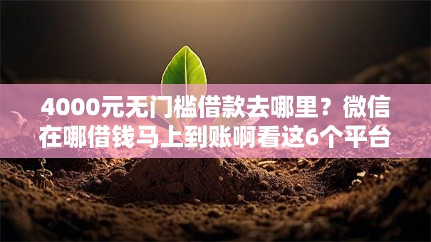 4000元无门槛借款去哪里？微信在哪借钱马上到账啊看这6个平台