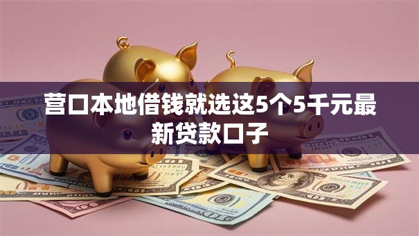营口本地借钱就选这5个5千元最新贷款口子