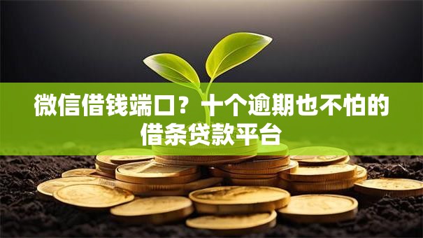微信借钱端口？十个逾期也不怕的借条贷款平台