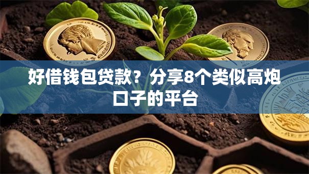 好借钱包贷款？分享8个类似高炮口子的平台