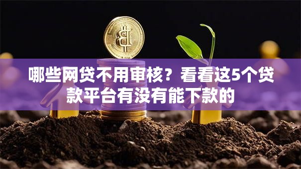 哪些网贷不用审核？看看这5个贷款平台有没有能下款的
