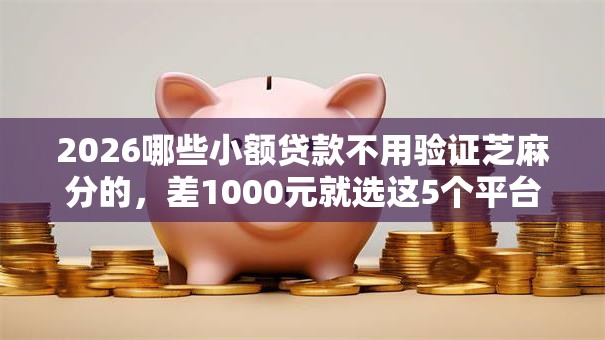 2026哪些小额贷款不用验证芝麻分的，差1000元就选这5个平台