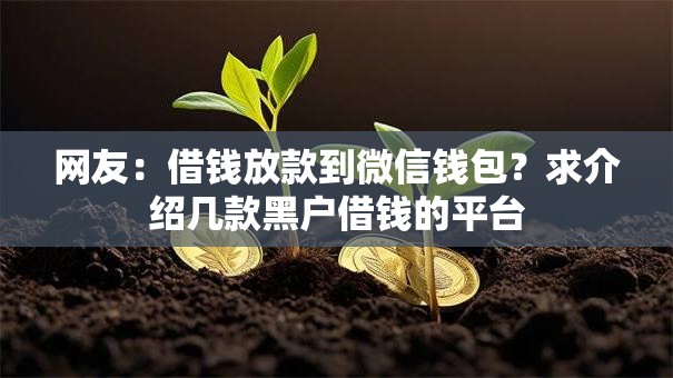 网友:借钱放款到微信钱包?求介绍几款黑户借钱的平台 网友:借钱放款到微信钱包?求介绍几款黑户借钱的平台