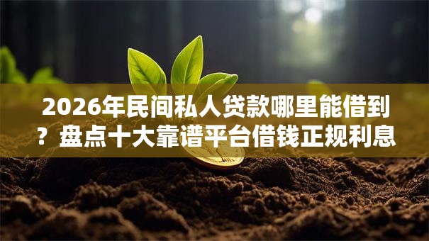 2026年民间私人贷款哪里能借到？盘点十大靠谱平台借钱正规利息最低