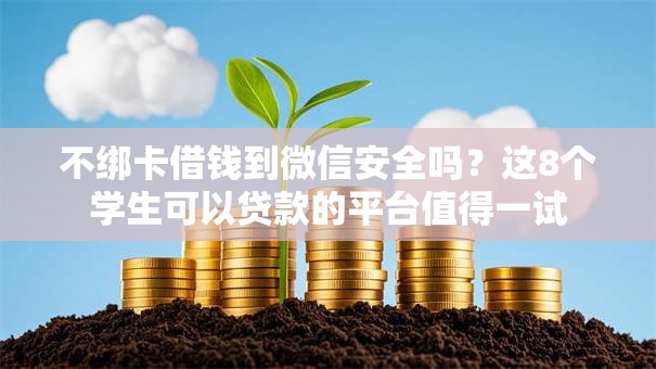 不绑卡借钱到微信安全吗？这8个学生可以贷款的平台值得一试