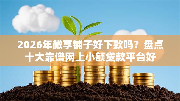 2026年微享铺子好下款吗？盘点十大靠谱网上小额贷款平台好