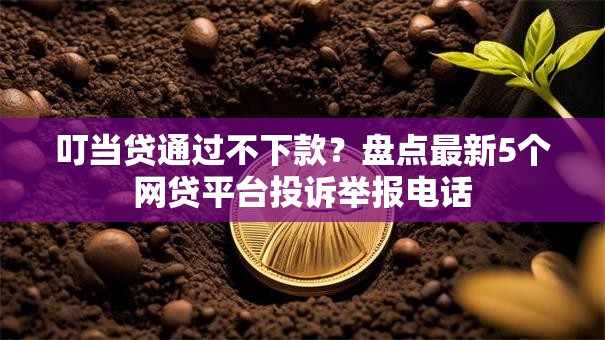 叮当贷通过不下款？盘点最新5个网贷平台投诉举报电话