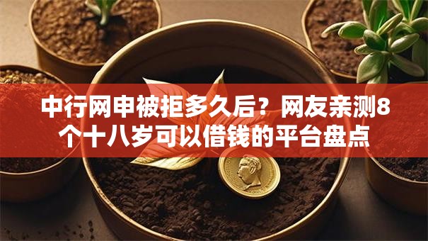 中行网申被拒多久后？网友亲测8个十八岁可以借钱的平台盘点
