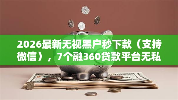 2026最新无视黑户秒下款（支持微信），7个融360贷款平台无私分享