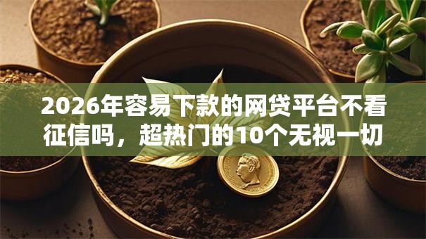 2026年容易下款的网贷平台不看征信吗，超热门的10个无视一切包下1万的贷款推荐