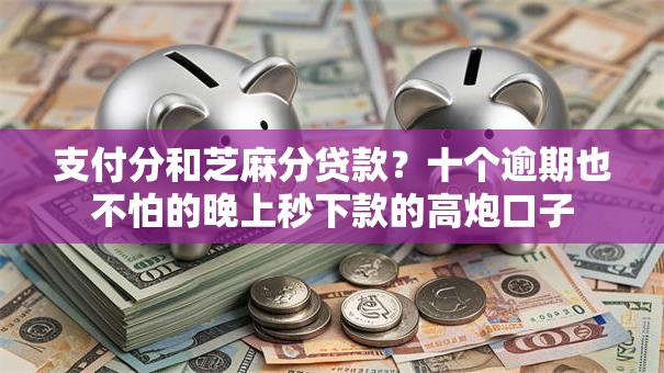 支付分和芝麻分贷款？十个逾期也不怕的晚上秒下款的高炮口子