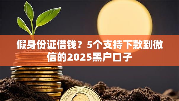 假身份证借钱？5个支持下款到微信的2025黑户口子