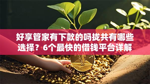 好享管家有下款的吗拢共有哪些选择?6个最快的借钱平台详解 好享管家有下款的吗拢共有哪些选择?6个最快的借钱平台详解