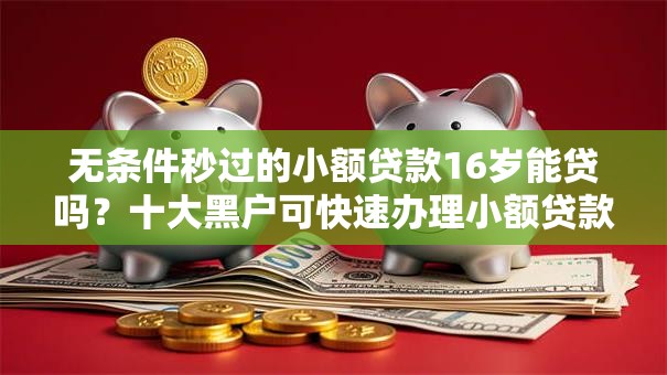 无条件秒过的小额贷款16岁能贷吗？十大黑户可快速办理小额贷款业务的软件推荐