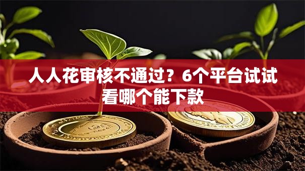 人人花审核不通过？6个平台试试看哪个能下款