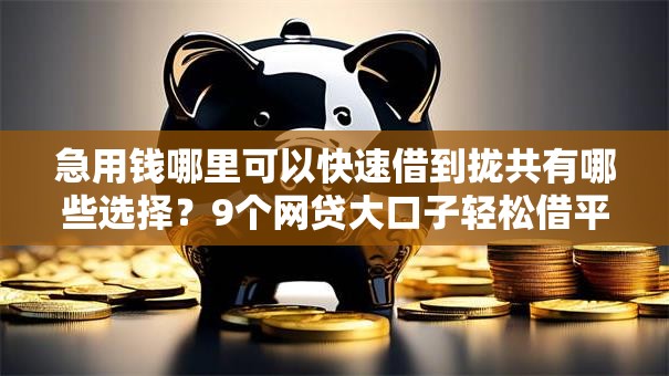 急用钱哪里可以快速借到拢共有哪些选择？9个网贷大口子轻松借平台详解