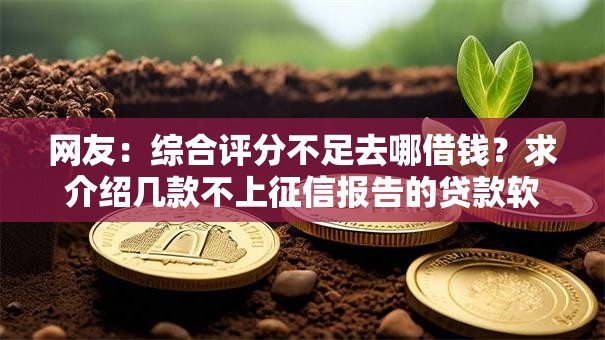 网友：综合评分不足去哪借钱？求介绍几款不上征信报告的贷款软件