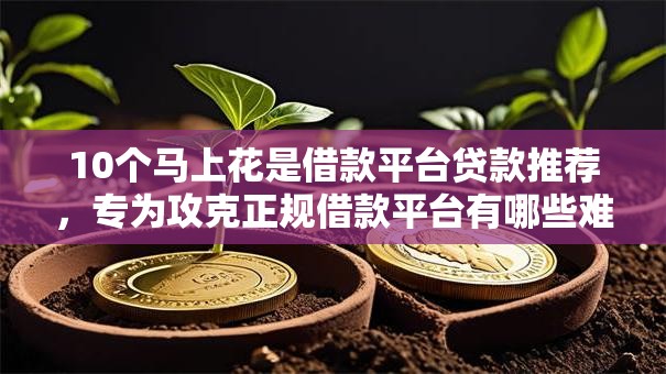 10个马上花是借款平台贷款推荐，专为攻克正规借款平台有哪些难题