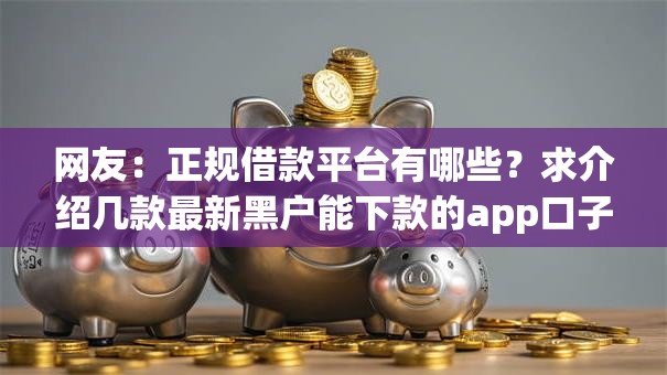 网友：正规借款平台有哪些？求介绍几款最新黑户能下款的app口子