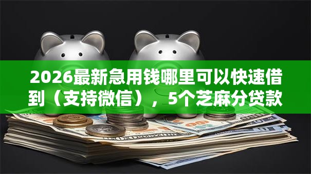 2026最新急用钱哪里可以快速借到（支持微信），5个芝麻分贷款的平台无私分享
