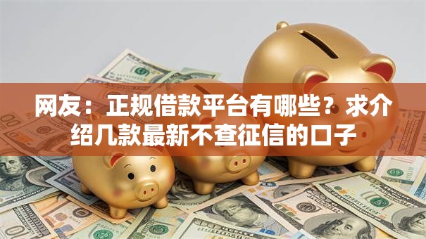 网友：正规借款平台有哪些？求介绍几款最新不查征信的口子