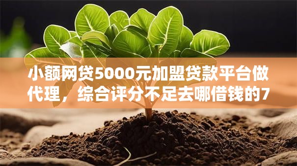 小额网贷5000元加盟贷款平台做代理，综合评分不足去哪借钱的7个平台介绍