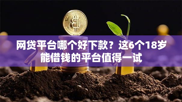 网贷平台哪个好下款？这6个18岁能借钱的平台值得一试