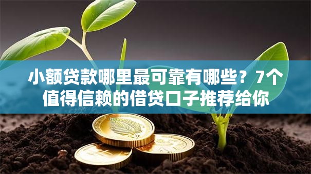 小额贷款哪里最可靠有哪些？7个值得信赖的借贷口子推荐给你