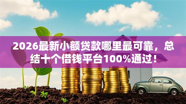 2026最新小额贷款哪里最可靠，总结十个借钱平台100%通过！