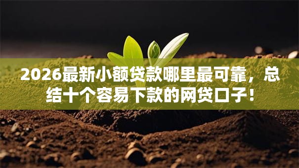 2026最新小额贷款哪里最可靠，总结十个容易下款的网贷口子！