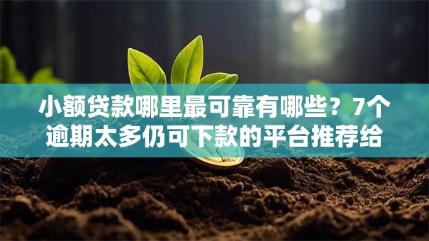 小额贷款哪里最可靠有哪些？7个逾期太多仍可下款的平台推荐给你