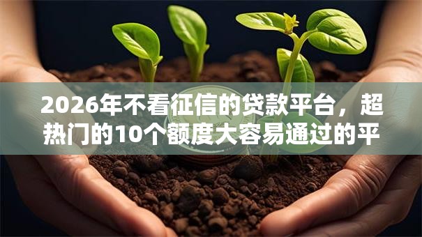 2026年不看征信的贷款平台，超热门的10个额度大容易通过的平台借款推荐