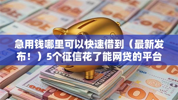 急用钱哪里可以快速借到（最新发布！）5个征信花了能网贷的平台