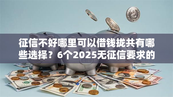 征信不好哪里可以借钱拢共有哪些选择？6个2025无征信要求的贷款平台详解