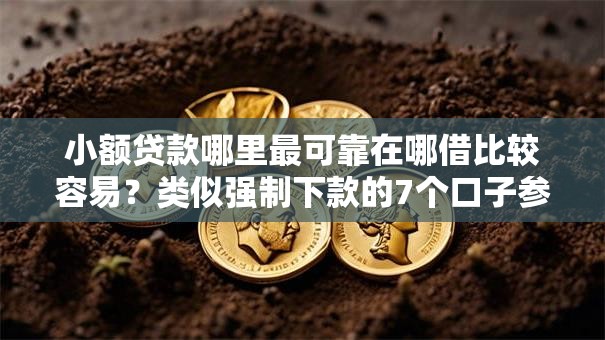 小额贷款哪里最可靠在哪借比较容易？类似强制下款的7个口子参考