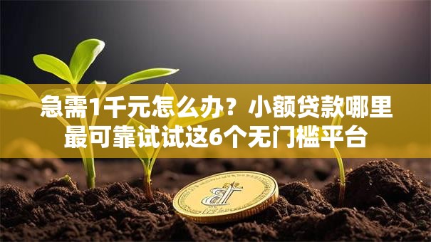 急需1千元怎么办？小额贷款哪里最可靠试试这6个无门槛平台