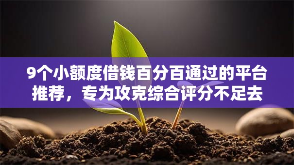9个小额度借钱百分百通过的平台推荐，专为攻克综合评分不足去哪借钱难题
